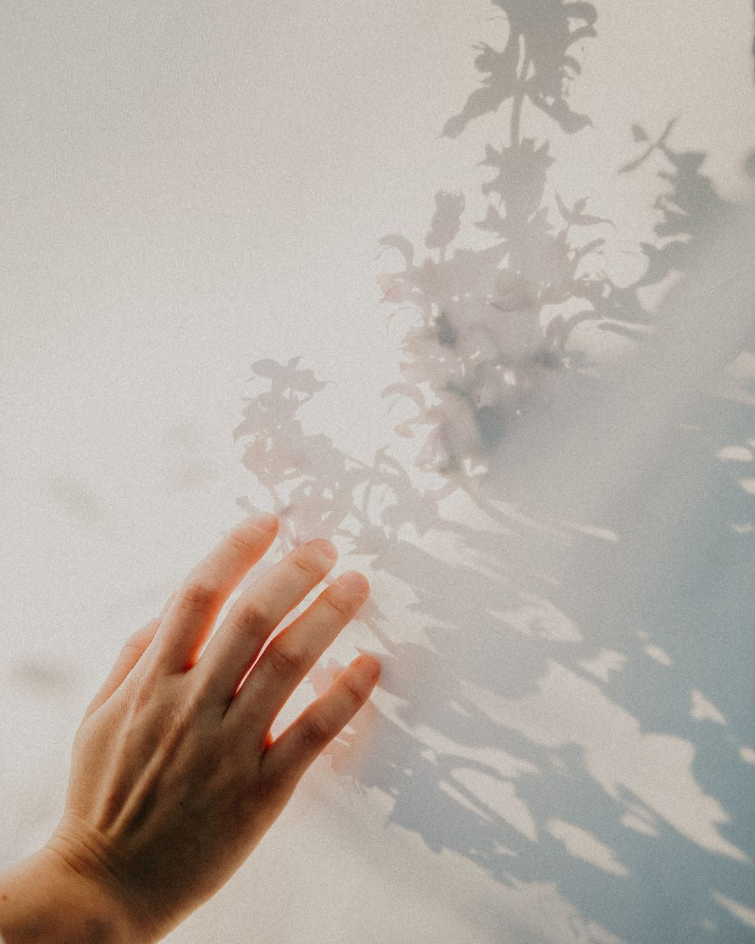 Histamine allergie: symptomen, voeding en wat je kunt doen - Charlotte Labee