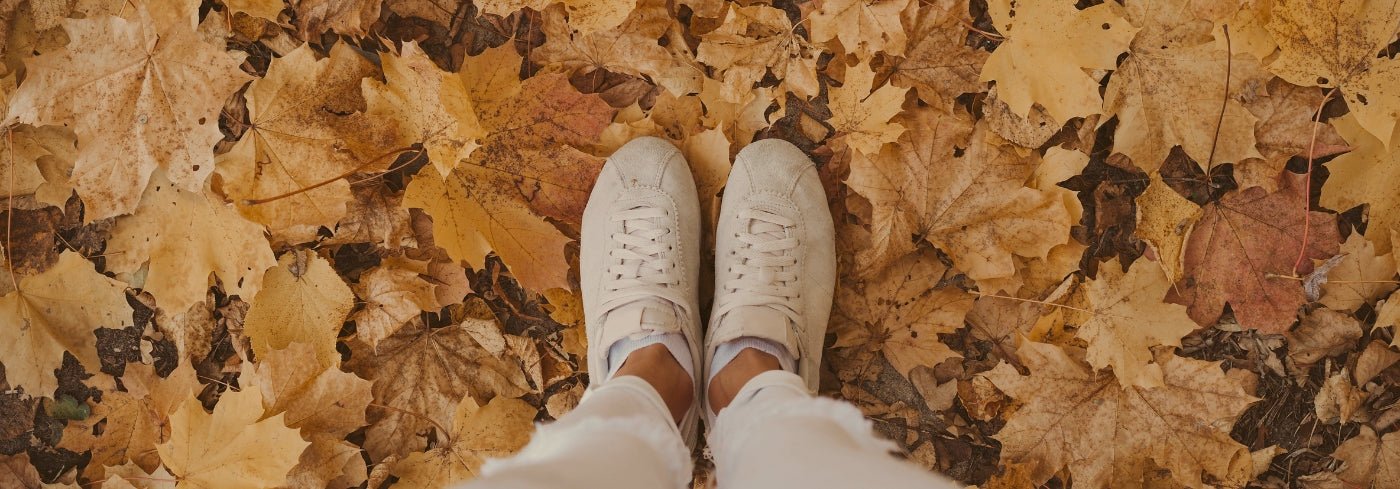 De herfst is een prachtig seizoen - Charlotte Labee