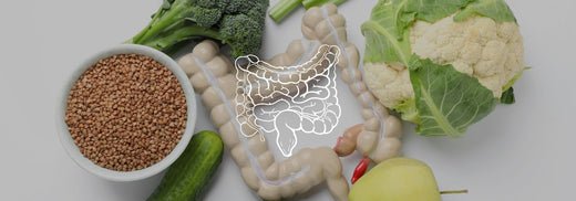Krijg gezonde darmen met de juiste voeding - Charlotte Labee