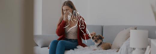 Wat kan ik doen bij een huisdier allergie? - Charlotte Labee