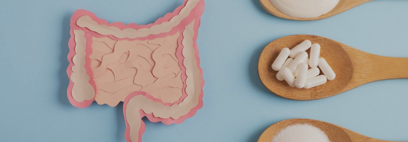 Prikkelbare Darm Syndroom (PDS): oorzaken, symptomen en behandelopties - Charlotte Labee