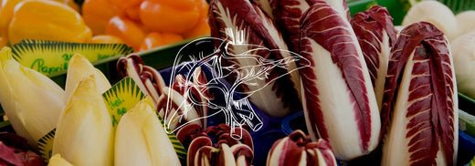 Voeding voor je lever, ondersteun dit belangrijke orgaan - Charlotte Labee
