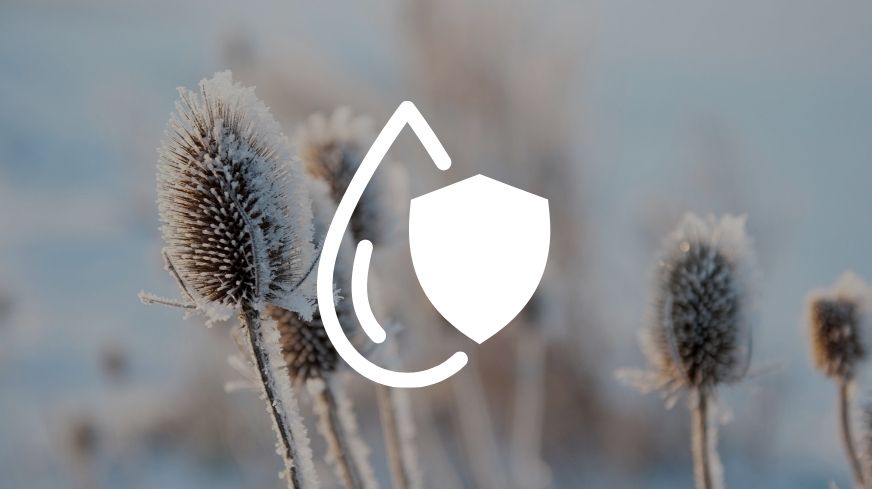 Je weerstand verhogen tijdens de winter - Charlotte Labee