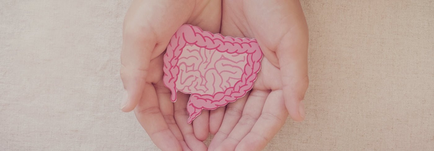 Luister naar je buik: zo krijg je grip op je darmgezondheid - Charlotte Labee