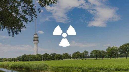 De invloed van electromagnetische velden - Charlotte Labee