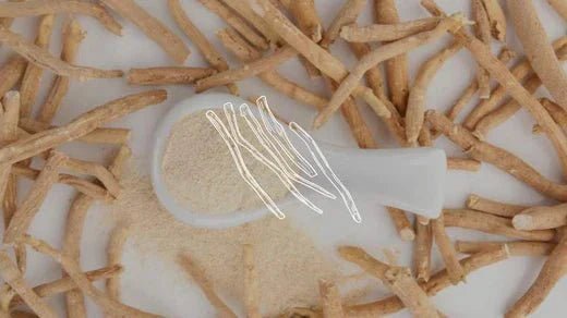 Ashwagandha in voedingssupplementen: kan het kwaad? - Charlotte Labee