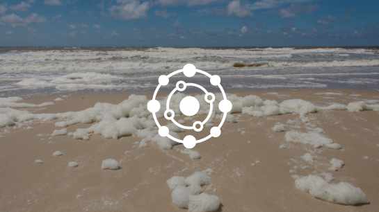 PFAS in zeeschuim en wat PFAS voor effect heeft op jouw gezondheid - Charlotte Labee