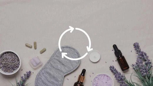 Slaapcyclus: Wat gebeurt er tijdens elke fase van je slaap? - Charlotte Labee