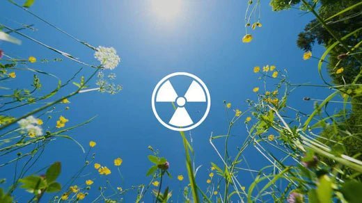 Wat zijn zomer-toxinen en hoe beïnvloeden ze jouw gezondheid? - Charlotte Labee