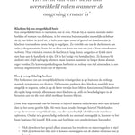 Boek Overprikkeld Brein - CL Health by Charlotte Labee