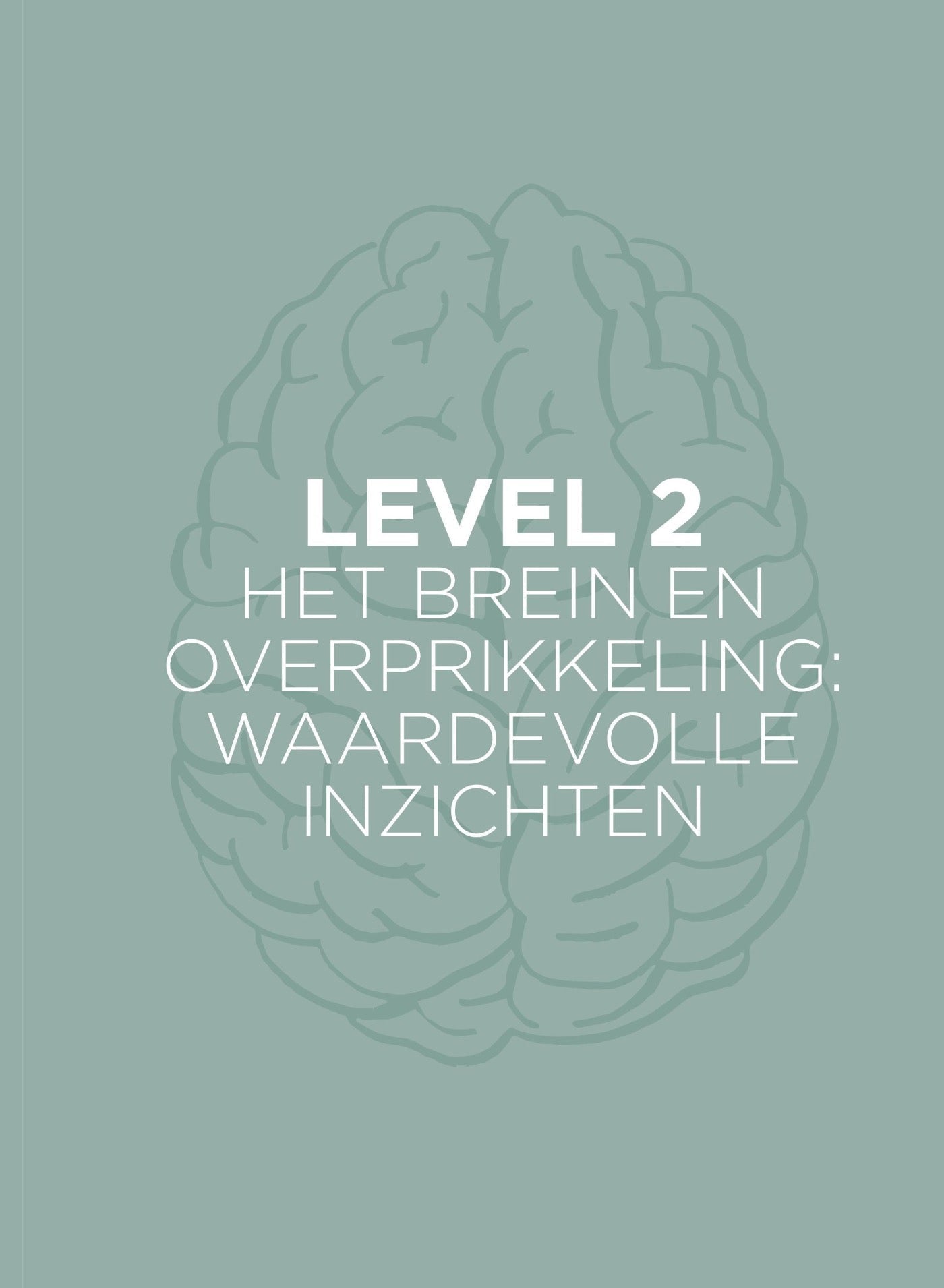 Boek Overprikkeld Brein - CL Health by Charlotte Labee