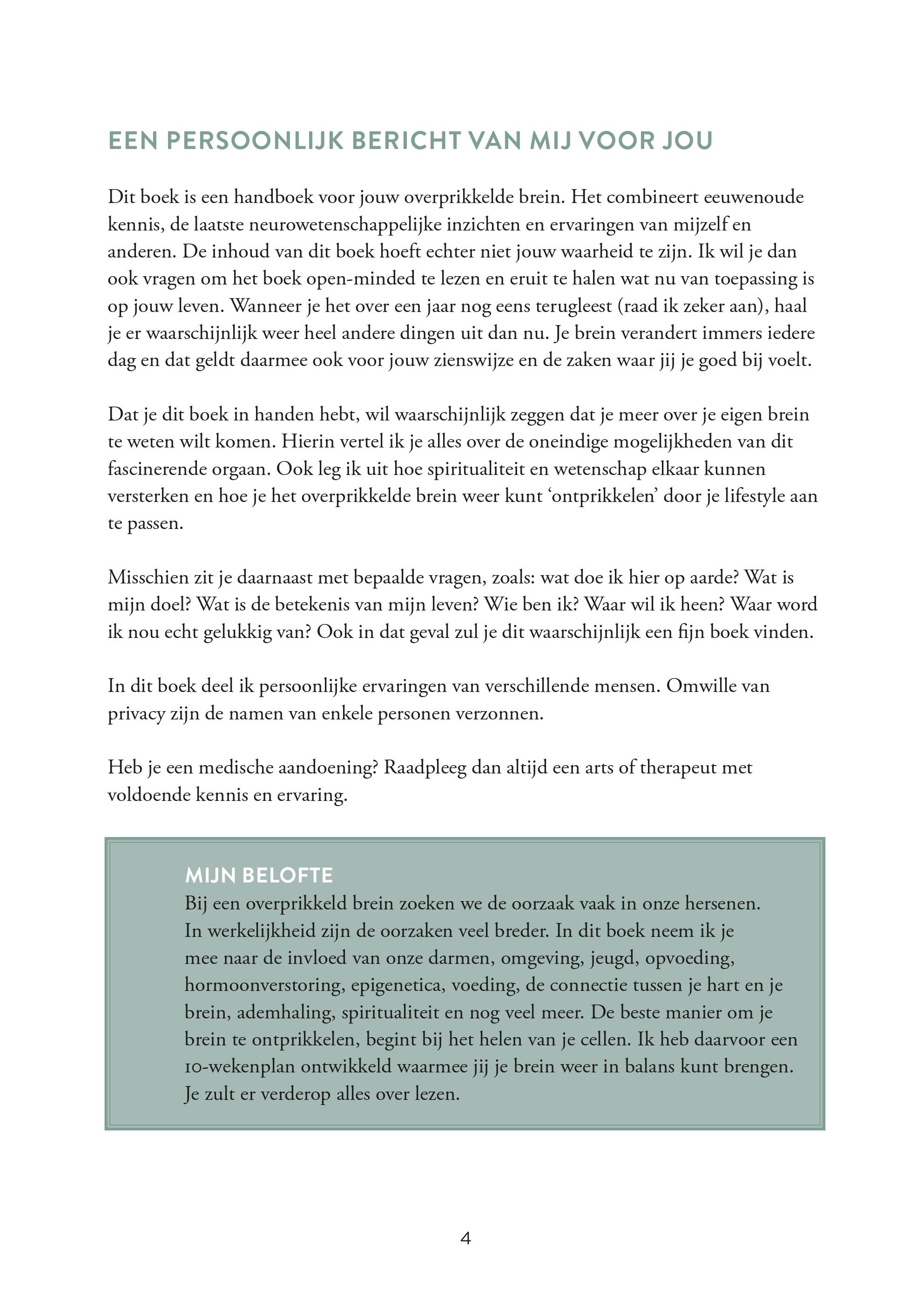 Boek Overprikkeld Brein - CL Health by Charlotte Labee