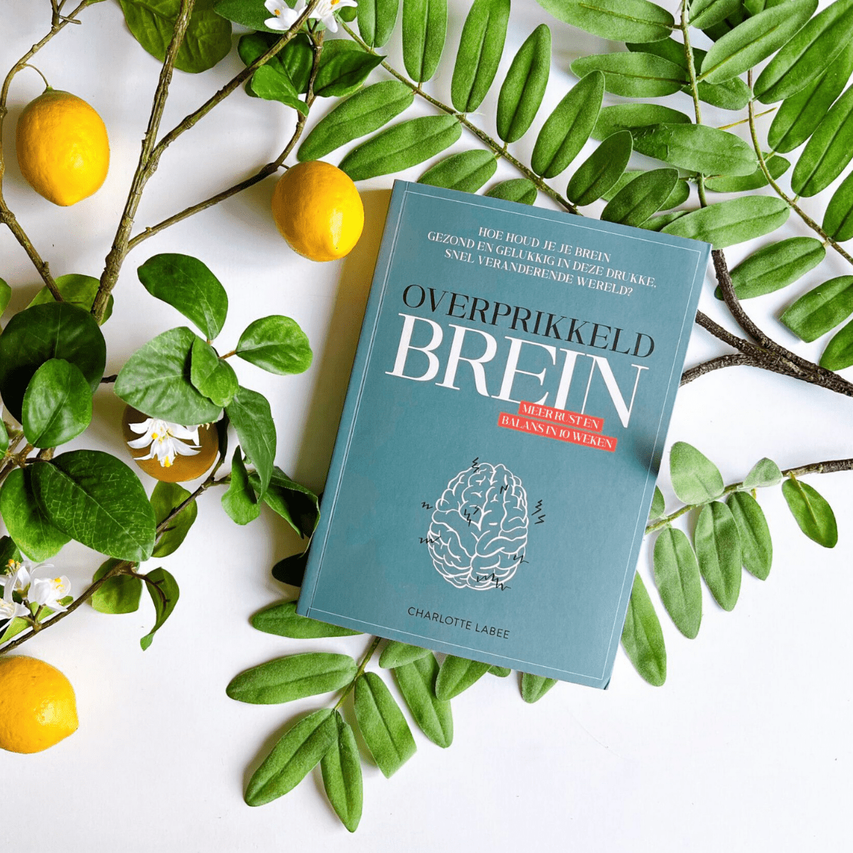 Boek Overprikkeld Brein - CL Health by Charlotte Labee